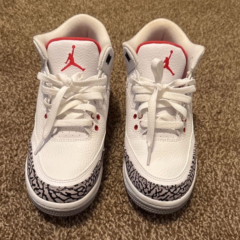 Jordan 3 Hall Of Fame